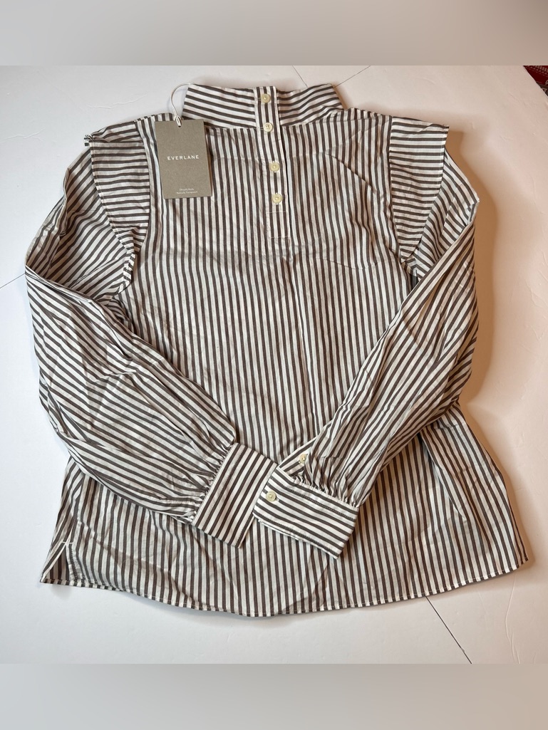 Everlane High Neck Mock Neck Brown & White Striped Stand-Collar Button Shirt 6